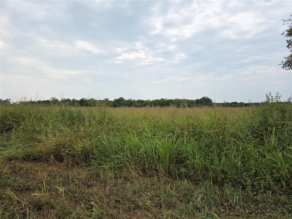 LY Community Addition, Lot 3, Acres 3.0 - Land