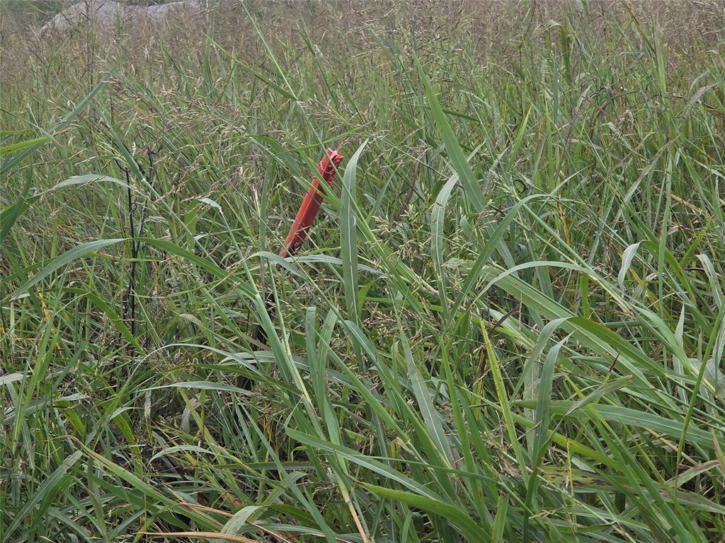 TBD County Road 3615