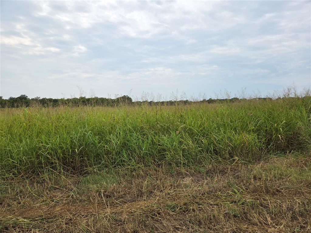 TBD County Road 3615