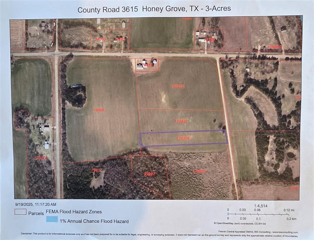 LY Community Addition, Lot 3, Acres 3.0 - Land