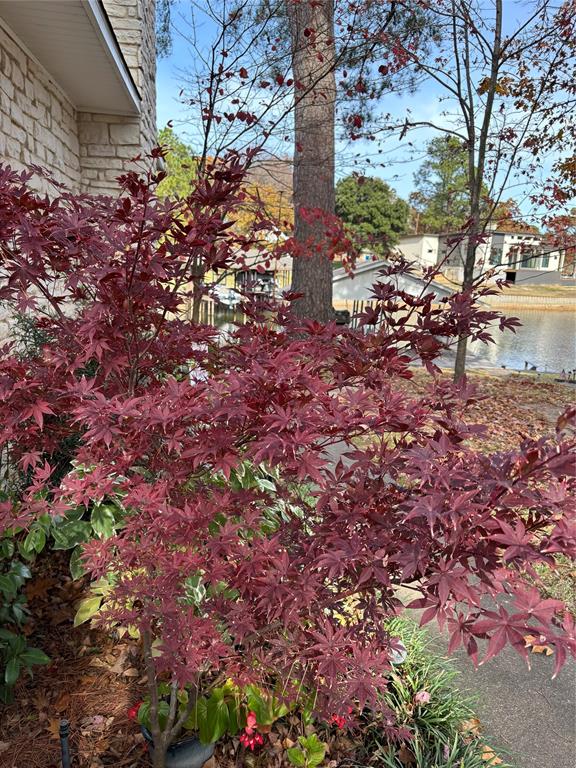 Lakeway Estate - Residential