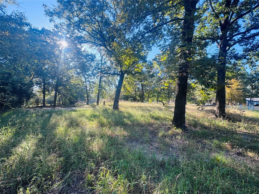 Cedar Crest Shores Estates - Land