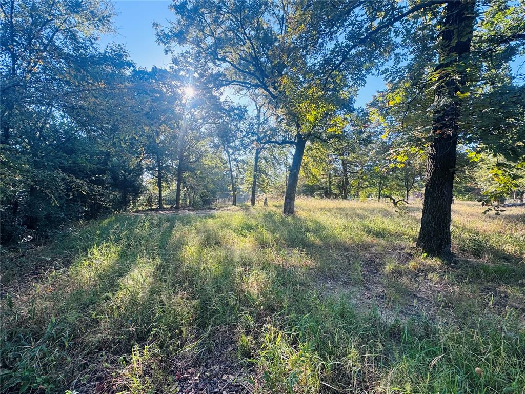 Cedar Crest Shores Estates - Land