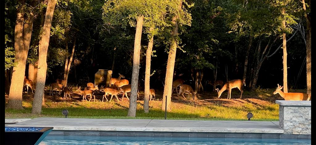 Tres Vistas Estates - Residential