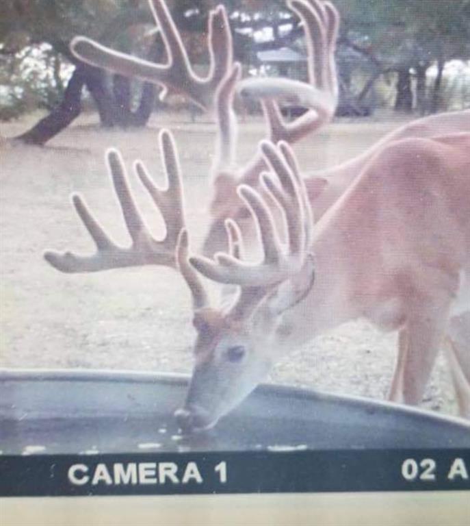 400 Indian Hills Road