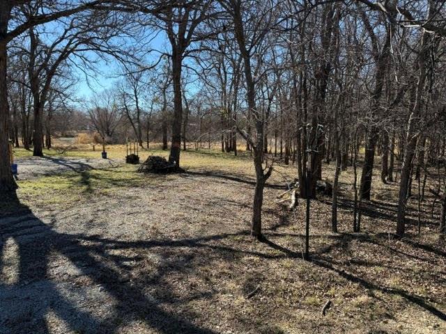 Tamarack Mountain - Land