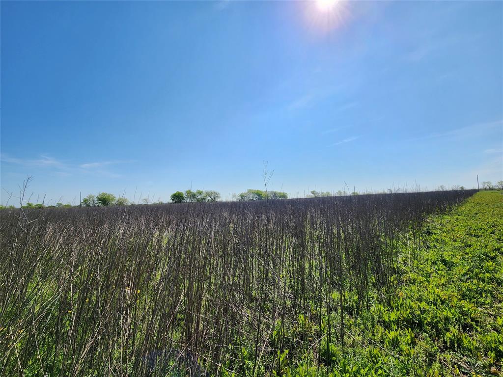 S S Pool Surv A-715 - Land