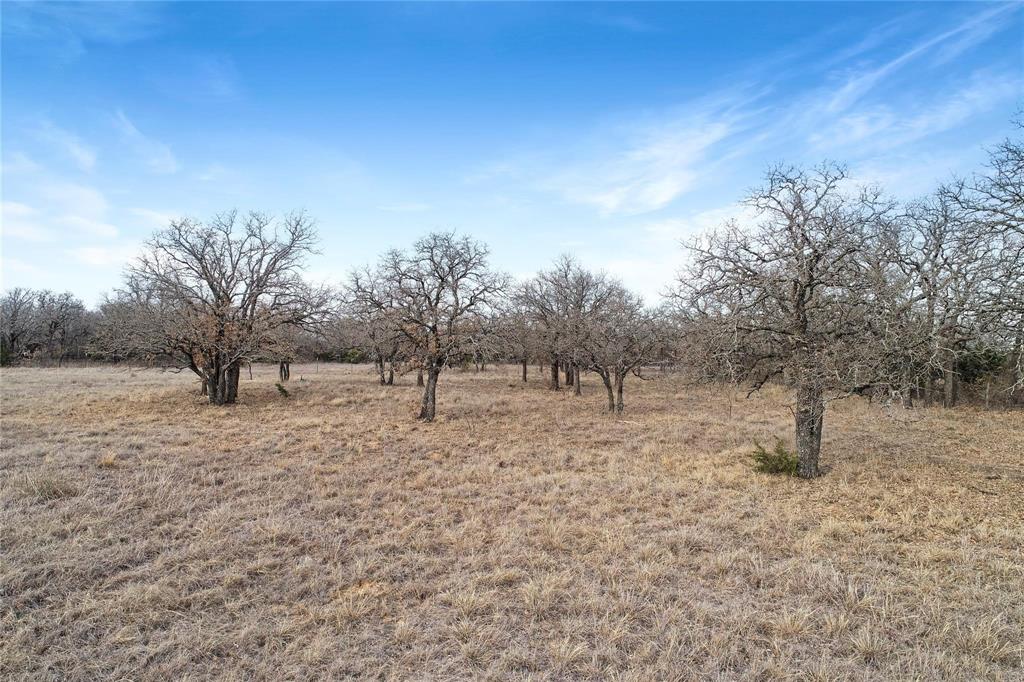 Wj Waltermire Surv Abs #1915 - Land