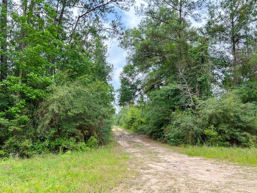 A-5 12 acres
1st-time open market offering for rural recreation and residential tracts just north of Silsbee, Texas. Sustainably wooded and natural. Sculpt to fit you desires! Create a legacy! Invest for timber income. Good access. Easy to get to. Floodplain Free! Unrestricted!