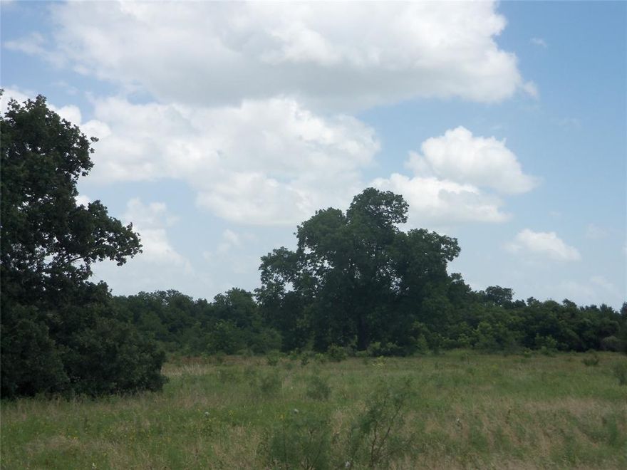 Motivated Seller has reduced this 12.02 acres to sell.   Even if you are not ready to build just yet, NOW is the time to buy before the land prices in this area take a jump higher in the coming months. 12.02 Acres of land with utilities available. The property is partial open grassland, and a portion wooded with lots of mature towering Pecan trees, oak trees, and many other varieties of Texas trees.   At the far back of the property there is a small grouping of young pecan trees. Plenty of underbrush. The property goes to a creek for part of the back boundary.  The remaining back property backs up to a fence.   I have seen deer on the property almost every time I am out there.  There is plenty of cover to protect the wildlife.  Nice views, secluded area, several home sites.  Could be a great place for atv, GO CARTS, or riding 4 wheelers or just family recreation site.  There is some wetlands and flood plain designation by the creek which is a wet weather creek.  Put up a fence and have grassland for cattle or horses.  Come take a look, feel and hear the quiet country and hike amongst the trees.