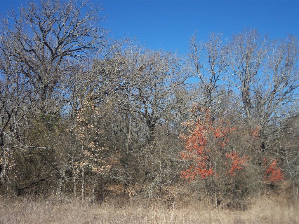 James Bennett Surv Abs #58 - Land