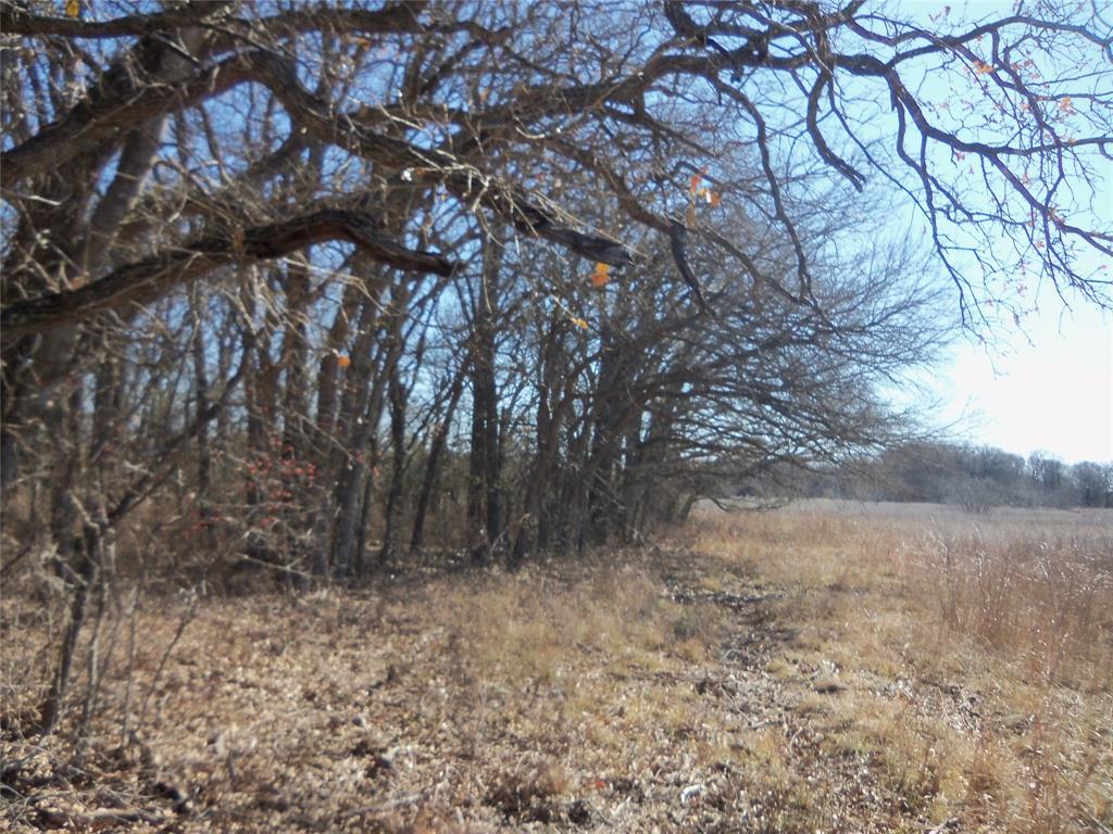 James Bennett Surv Abs #58 - Land