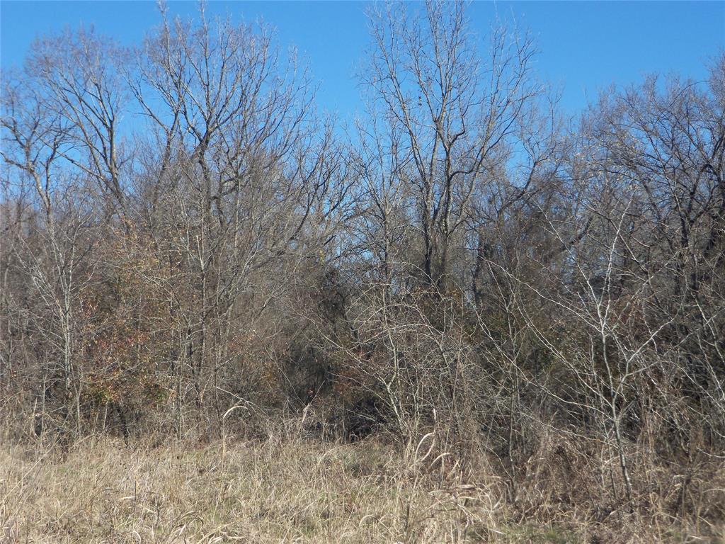 James Bennett Surv Abs #58 - Land