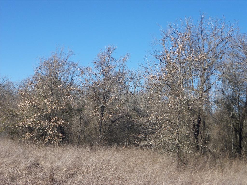 James Bennett Surv Abs #58 - Land