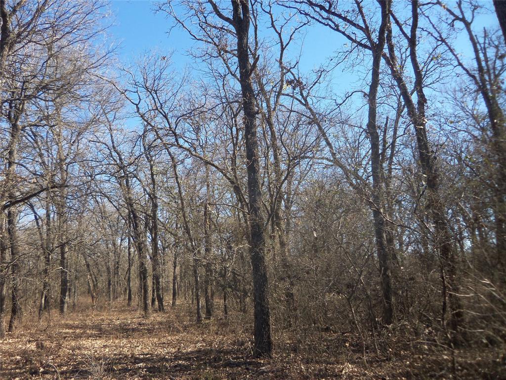 James Bennett Surv Abs #58 - Land