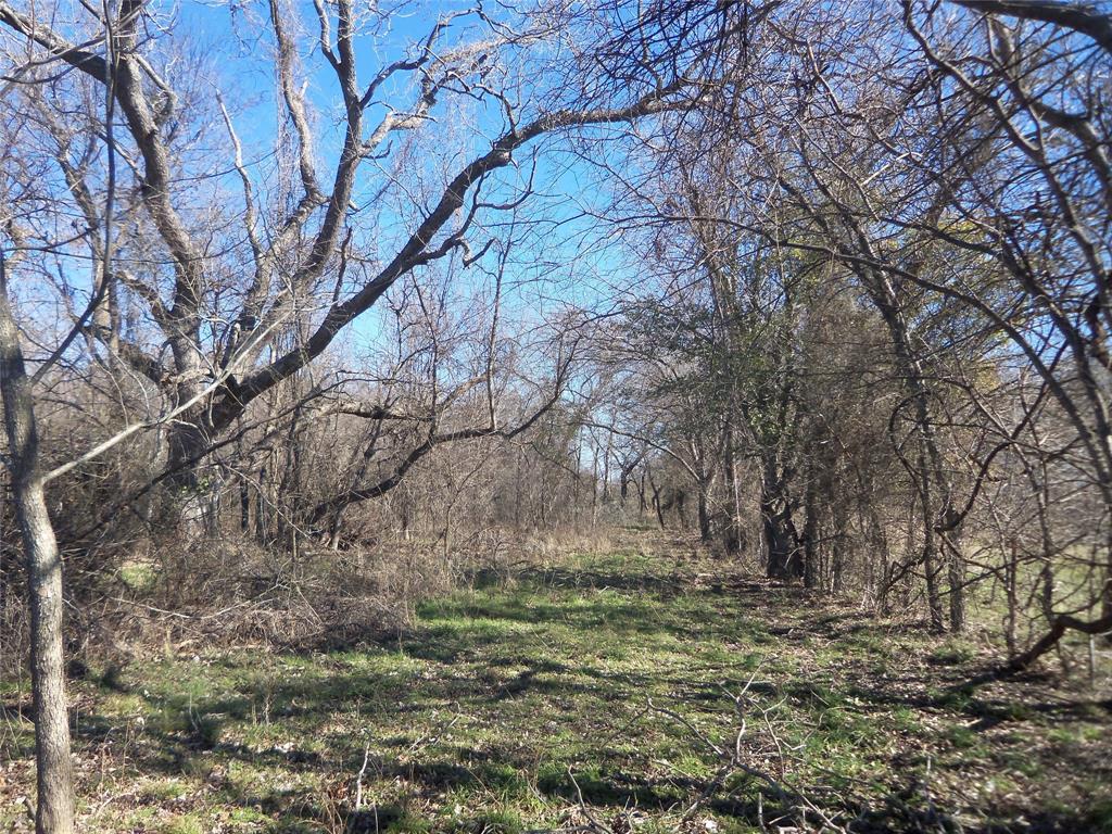 James Bennett Surv Abs #58 - Land