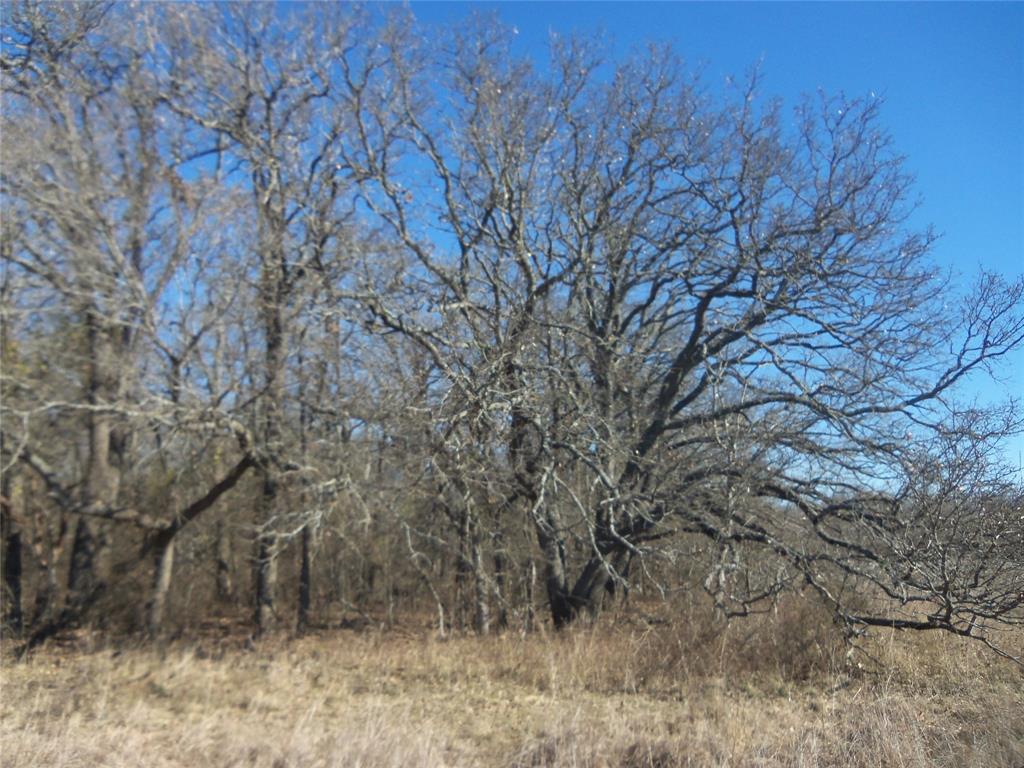 James Bennett Surv Abs #58 - Land