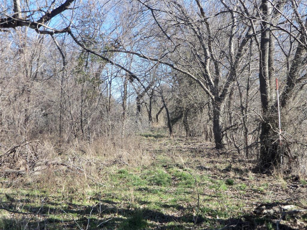 James Bennett Surv Abs #58 - Land