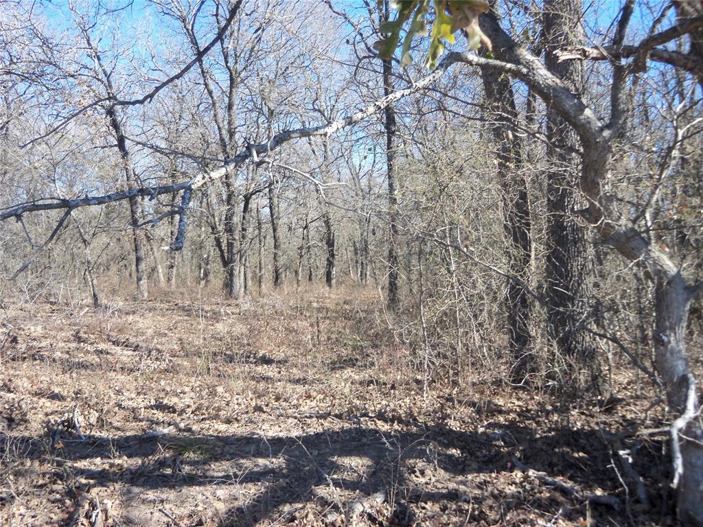 James Bennett Surv Abs #58 - Land