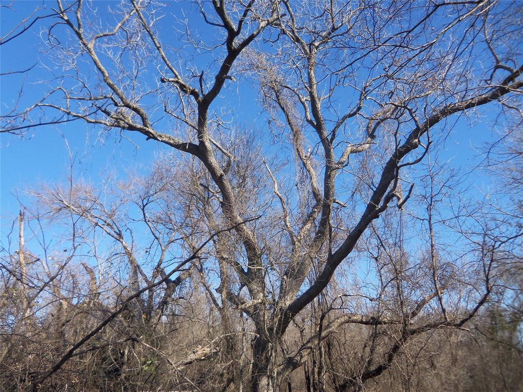 James Bennett Surv Abs #58 - Land