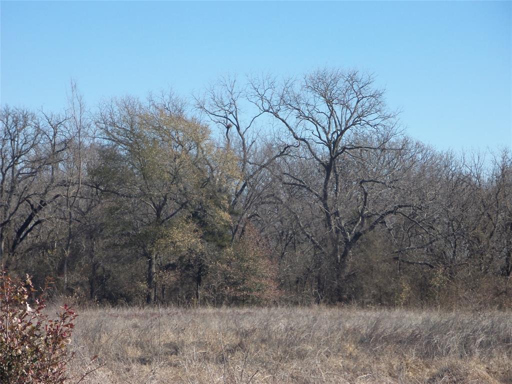 James Bennett Surv Abs #58 - Land