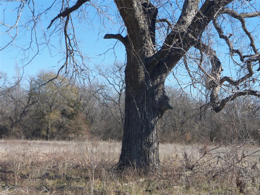 James Bennett Surv Abs #58 - Land