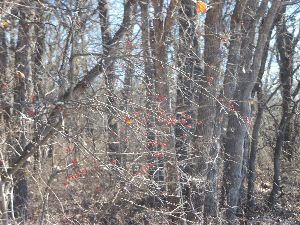 James Bennett Surv Abs #58 - Land