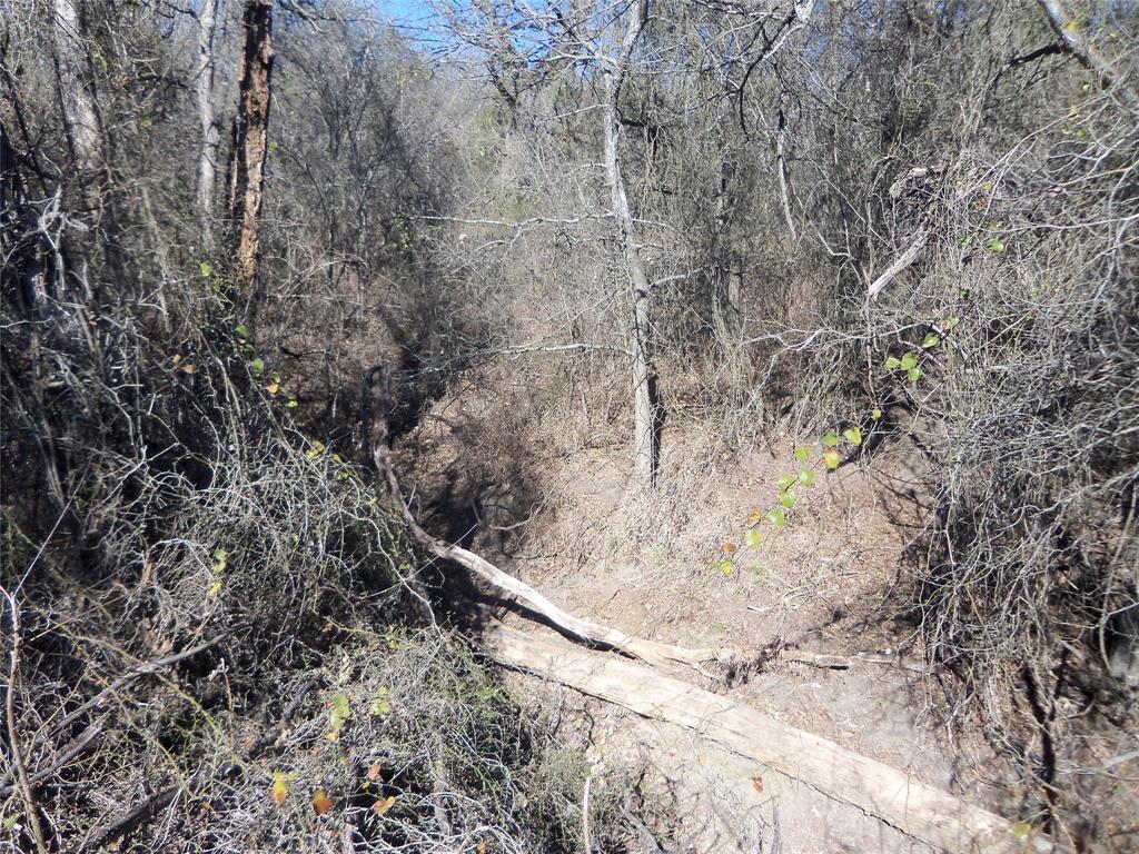 James Bennett Surv Abs #58 - Land