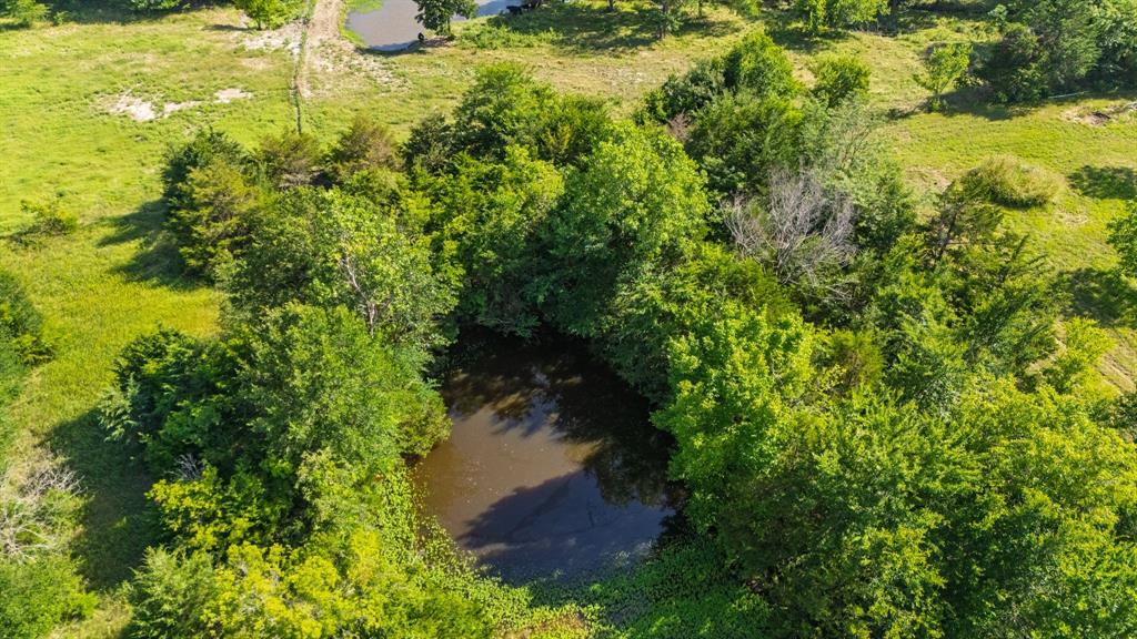 MARSHALL CRAWFORD SURVEY - Land