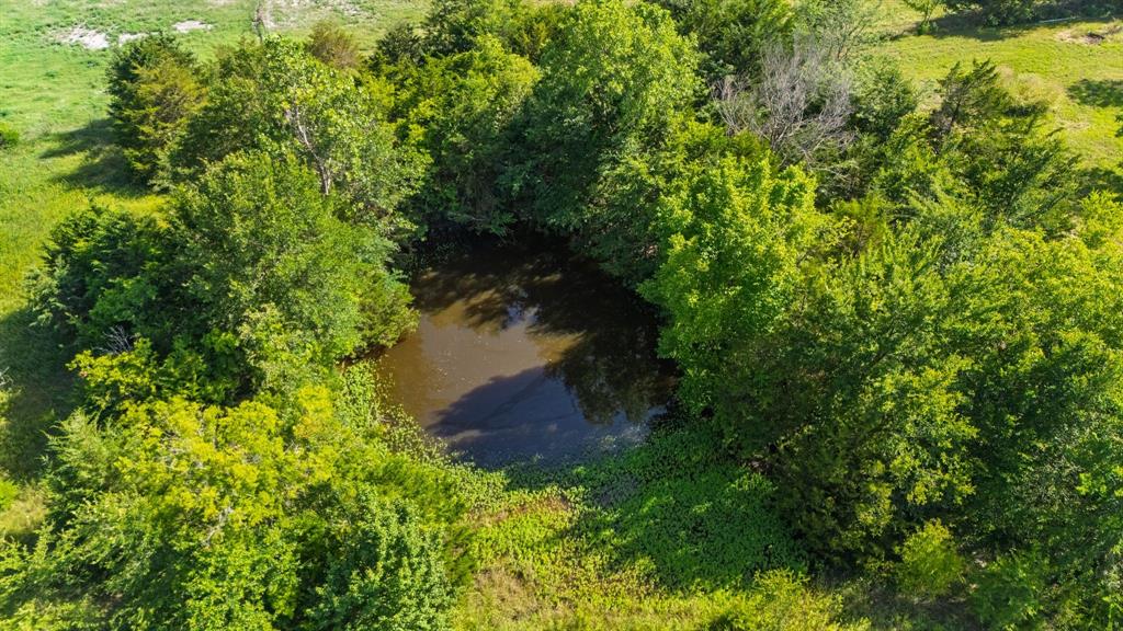 MARSHALL CRAWFORD SURVEY - Land