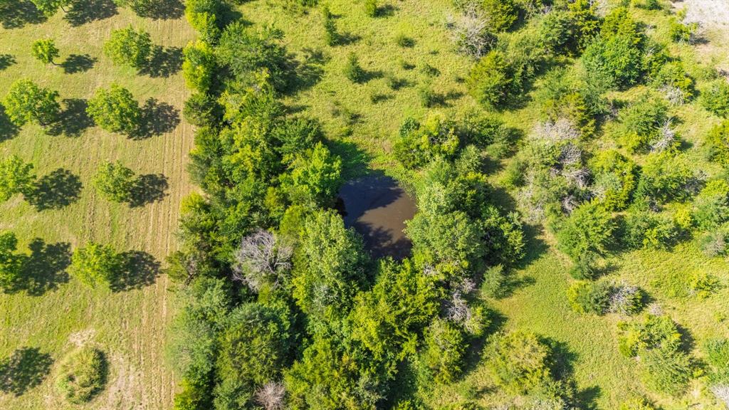 MARSHALL CRAWFORD SURVEY - Land