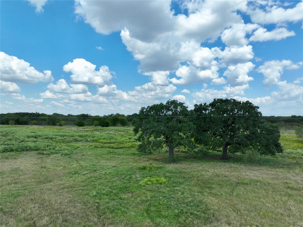 T SHAPARD ABST - Land