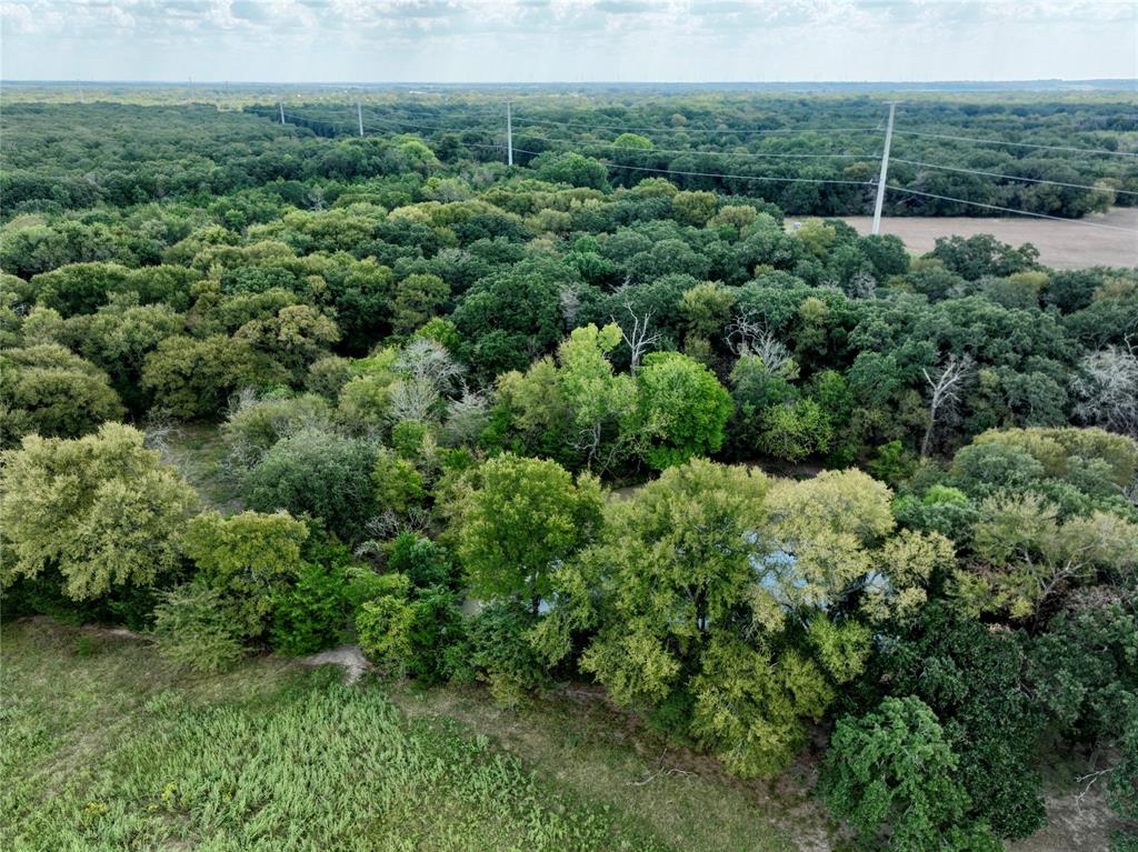 T SHAPARD ABST - Land