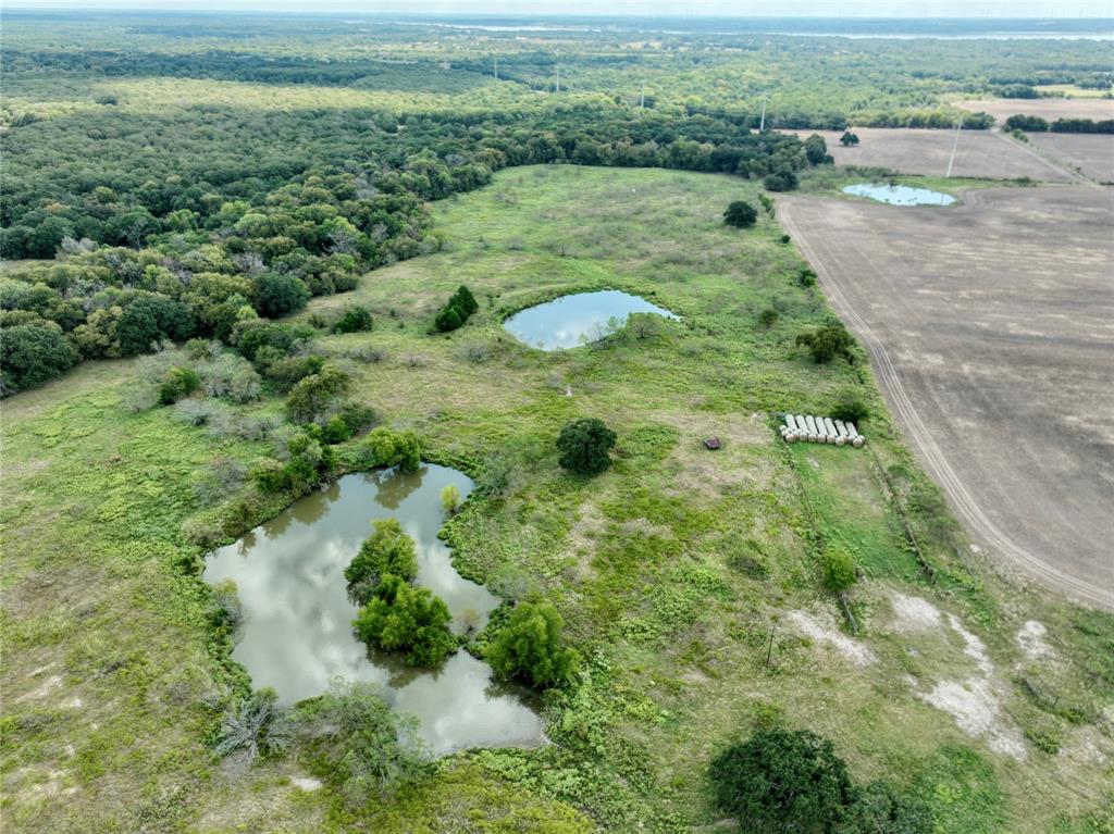 T SHAPARD ABST - Land