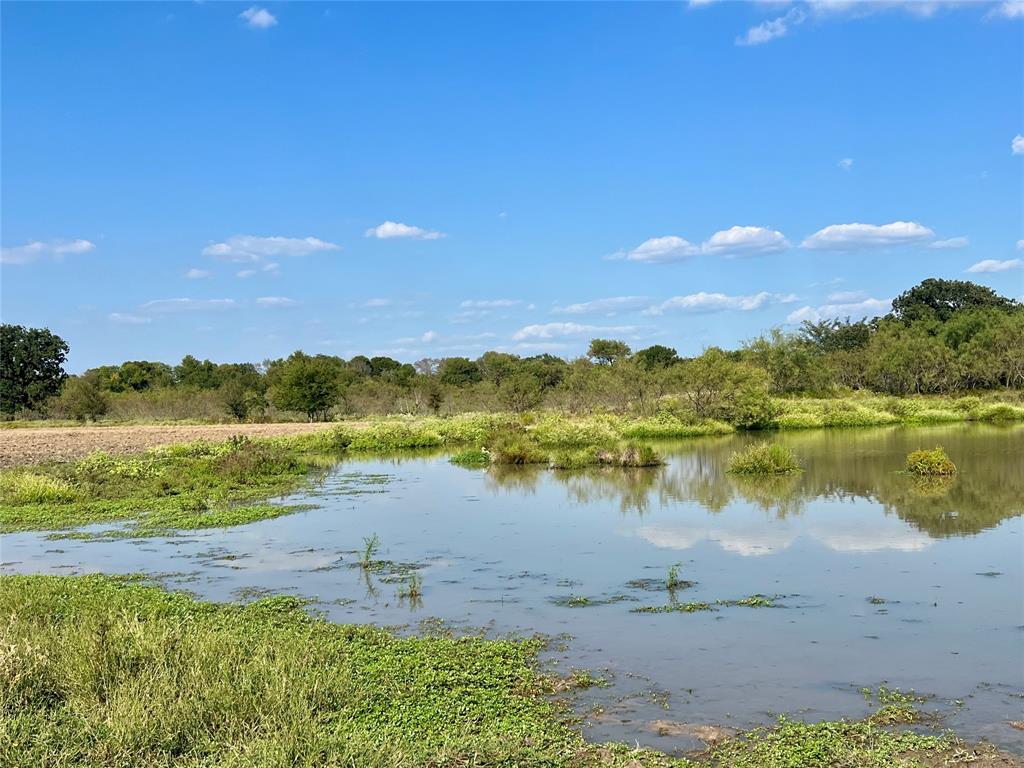 T SHAPARD ABST - Land