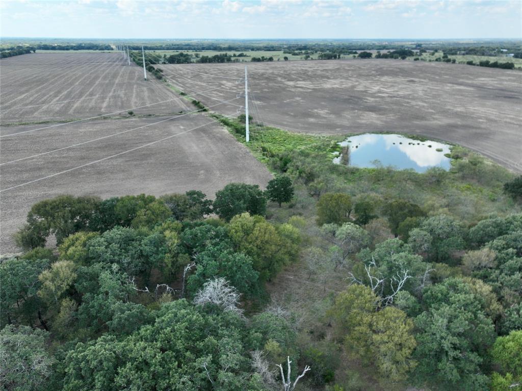 T SHAPARD ABST - Land