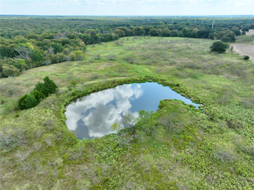 T SHAPARD ABST - Land