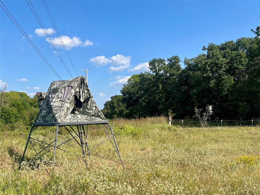 T SHAPARD ABST - Land