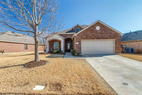 Photo of 809 Golden Bear Lane, McKinney, TX 75072 (MLS # 21171936)