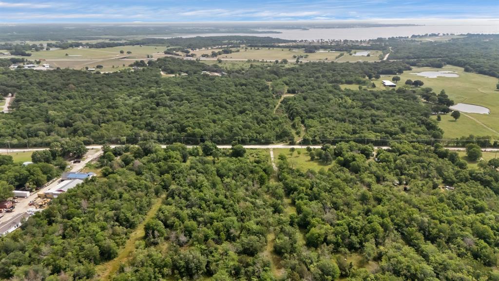 Ginger Land Co - Land