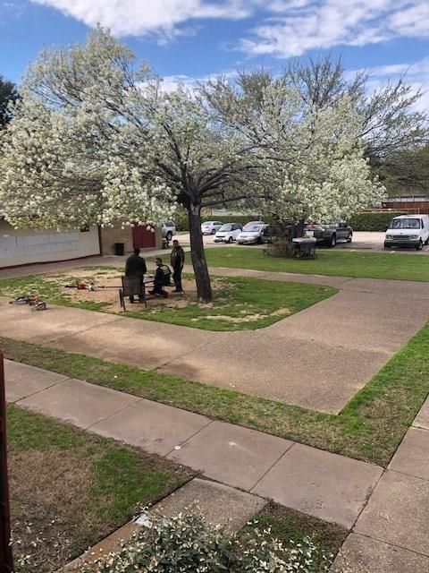 Photo of 919 S Weatherred Drive #206, Richardson, TX 75080 (MLS # 21102092)