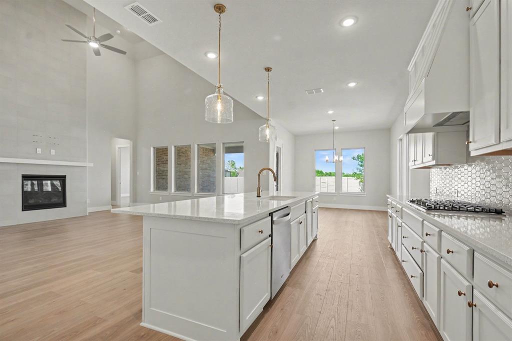 Painted Tree Lakeside West Ph 2 - Residential