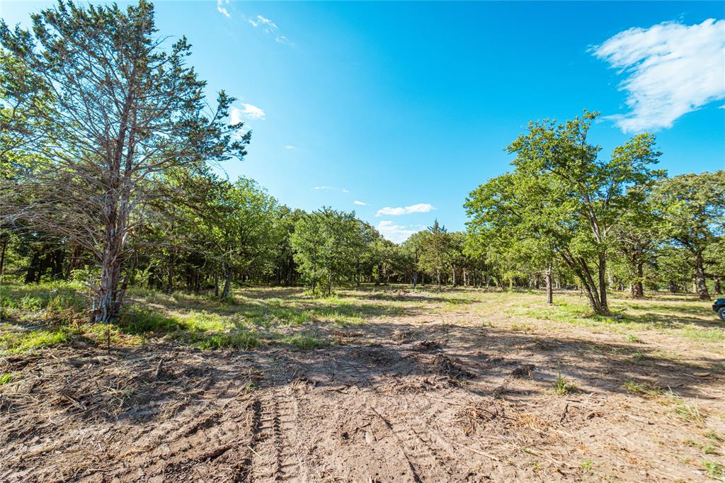 Lot 6 CR 297