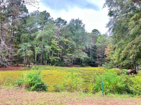 0 Lakefront Rd/McGlamery/Piney Woods Jamestown LA 71045