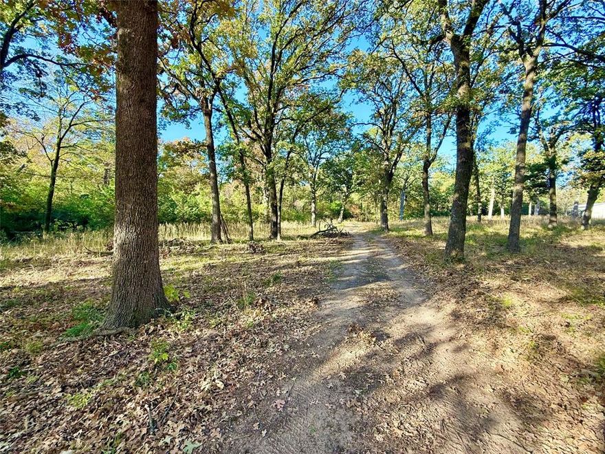 Heavily Treed Lot with Mature Growth, you will find multiple building sites on this wonderful 4 Acre Lot located in the Sand Creek Subdivision. Many wonderful homes already built in this established neighborhood making it a warm and welcome place for you to call home. Just minutes north of Bonham for easy access to shopping and a short drive of County Road before you are back on the Highway. Take time to explore what Country Living in North Texas is like with over 7 Lakes already here and more on the way.