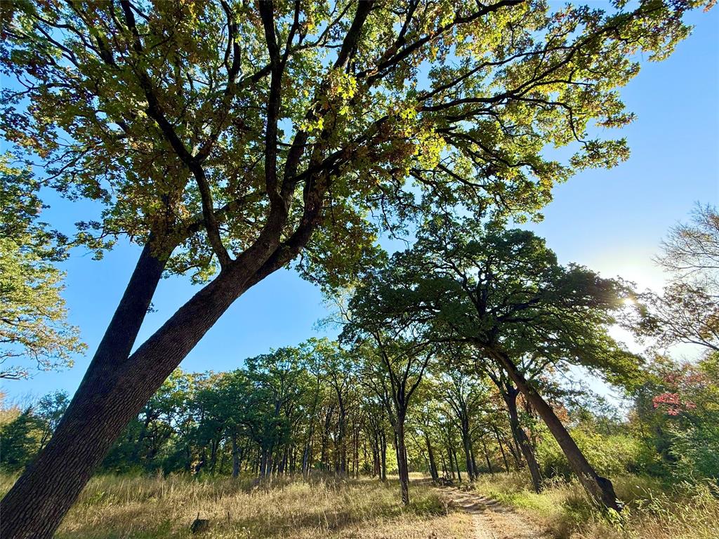 Sand Creek Ph II - Land