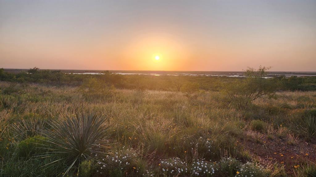 32+ acres Lake Stamford FM 600