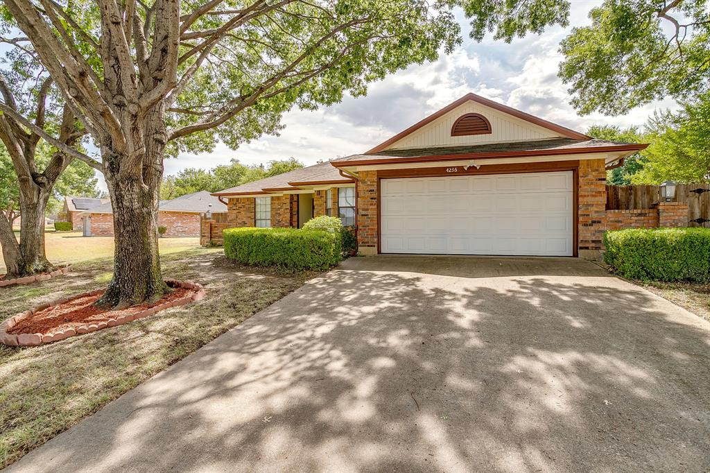 4236 Sue Court