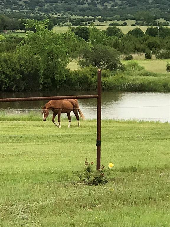 WILLIAM K PREWITT - Farm