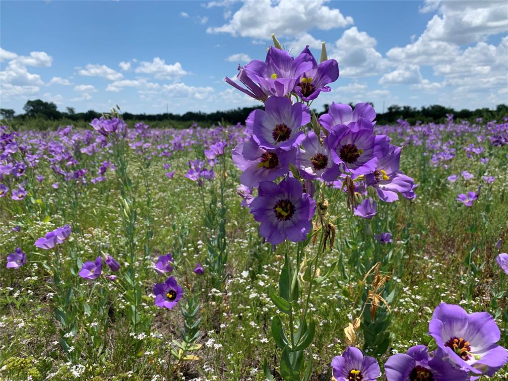 WILLIAM K PREWITT - Farm